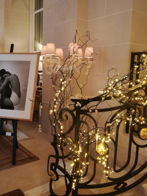 IMG 20190104 WA0192 1 480x640 - Exquisite Hôtel de Crillon in Paris