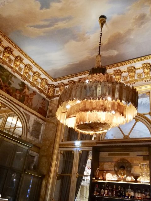 IMG 20190104 130231 1 480x640 - Exquisite Hôtel de Crillon in Paris