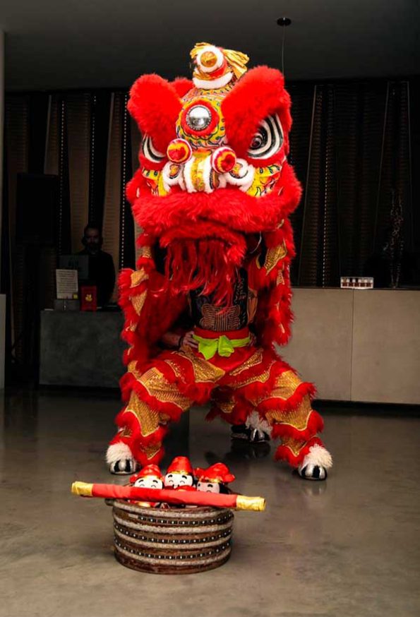 Celebrating the Year of the Dragon