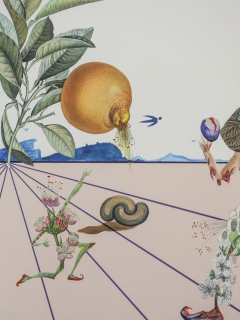 Dali Exhibition